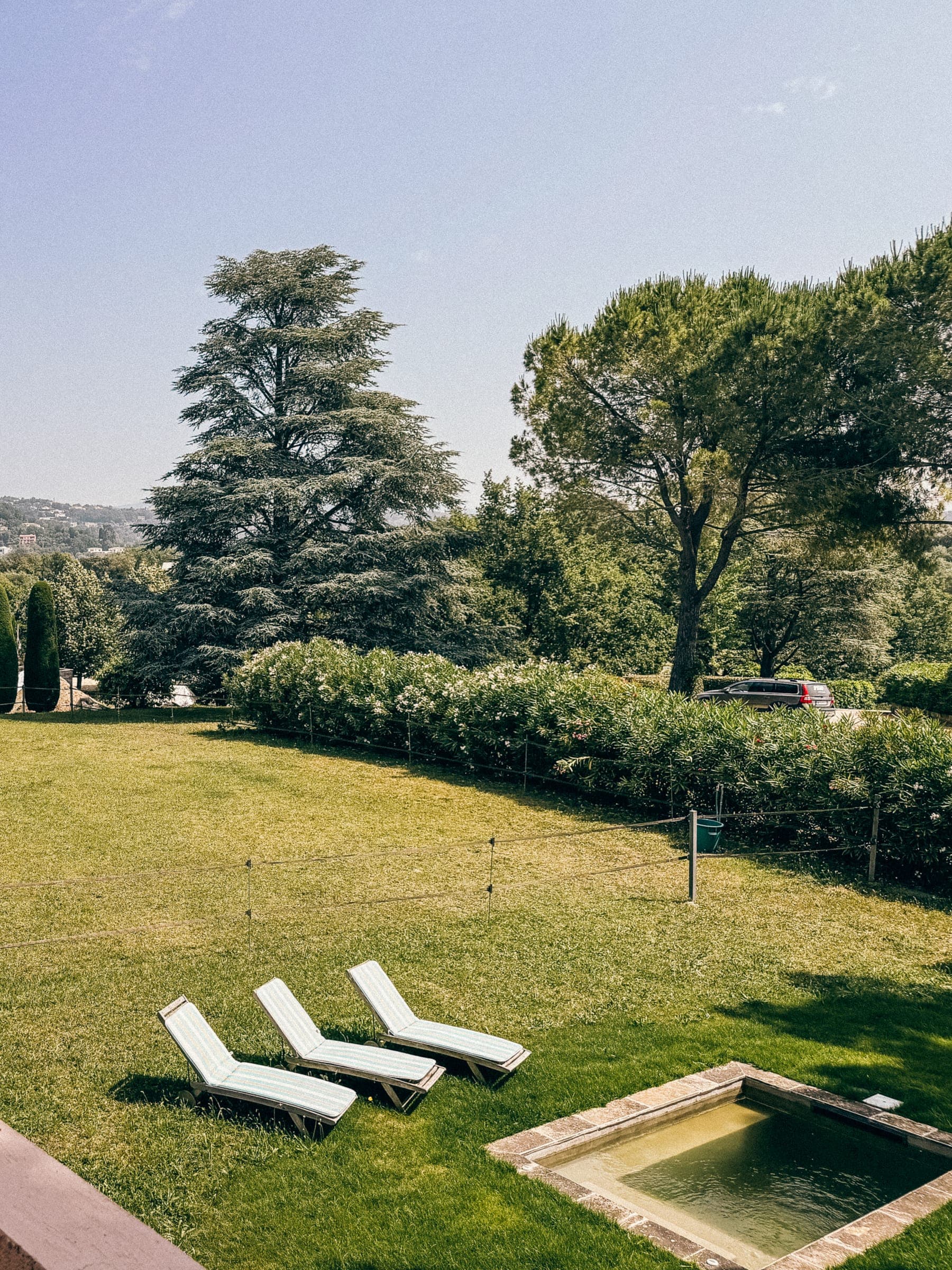 Garden with loungers and pool under a tall cedar